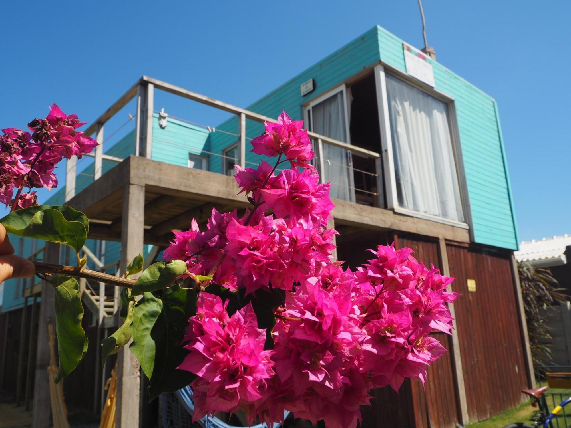 Hostel Vente Al Diablo Пунта-дель-Дьябло Экстерьер фото